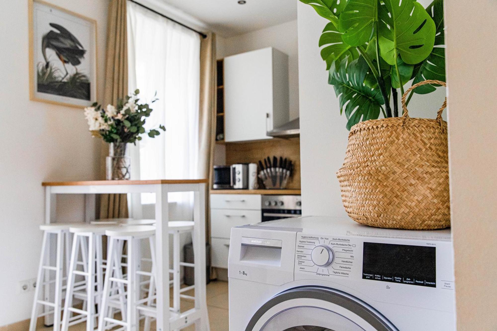 Apartament Garden Near Haydnpark *